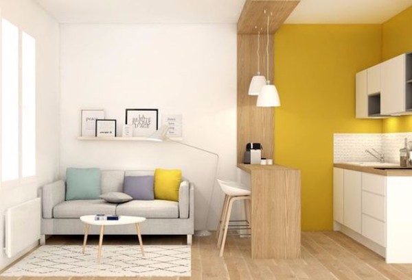 Дизайн однокомнатной квартиры - фото 3