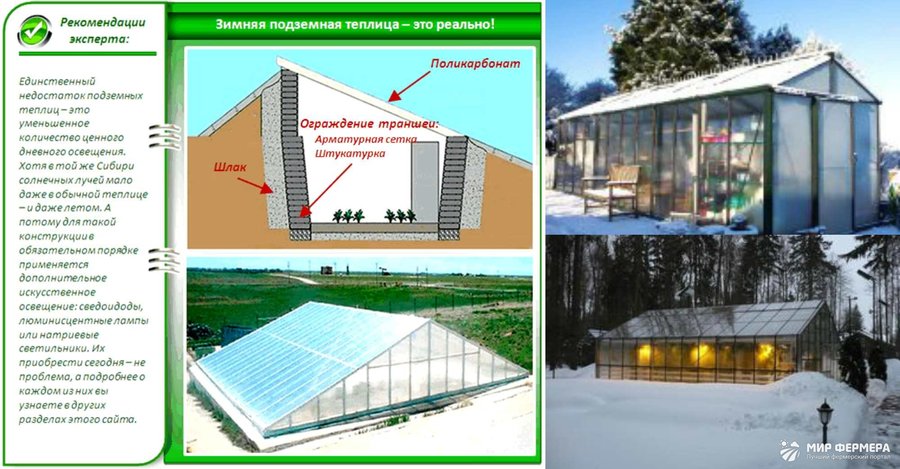 Зимняя теплица особенности