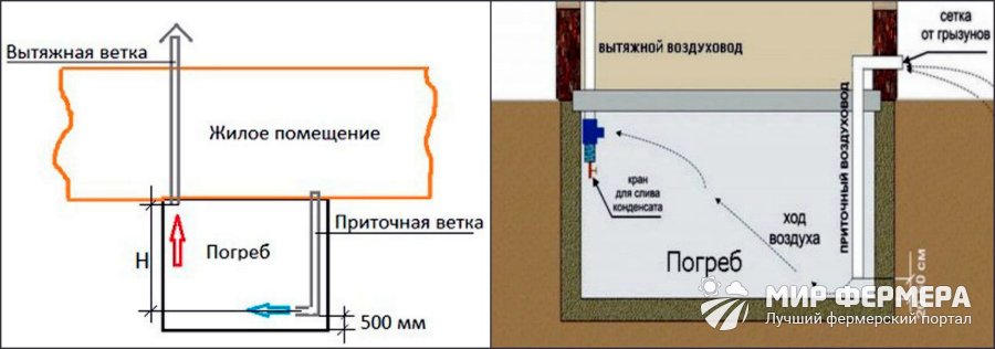 Вентиляция в погребе