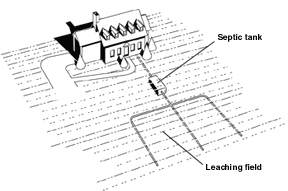 Septic System