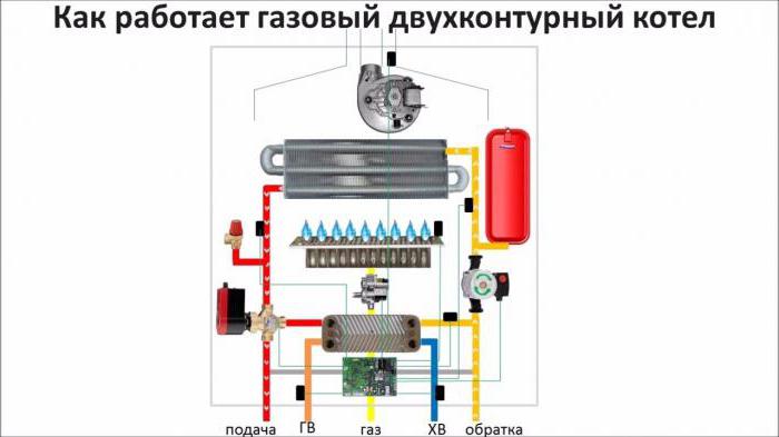 Принцип работы газового котла отопления: схема